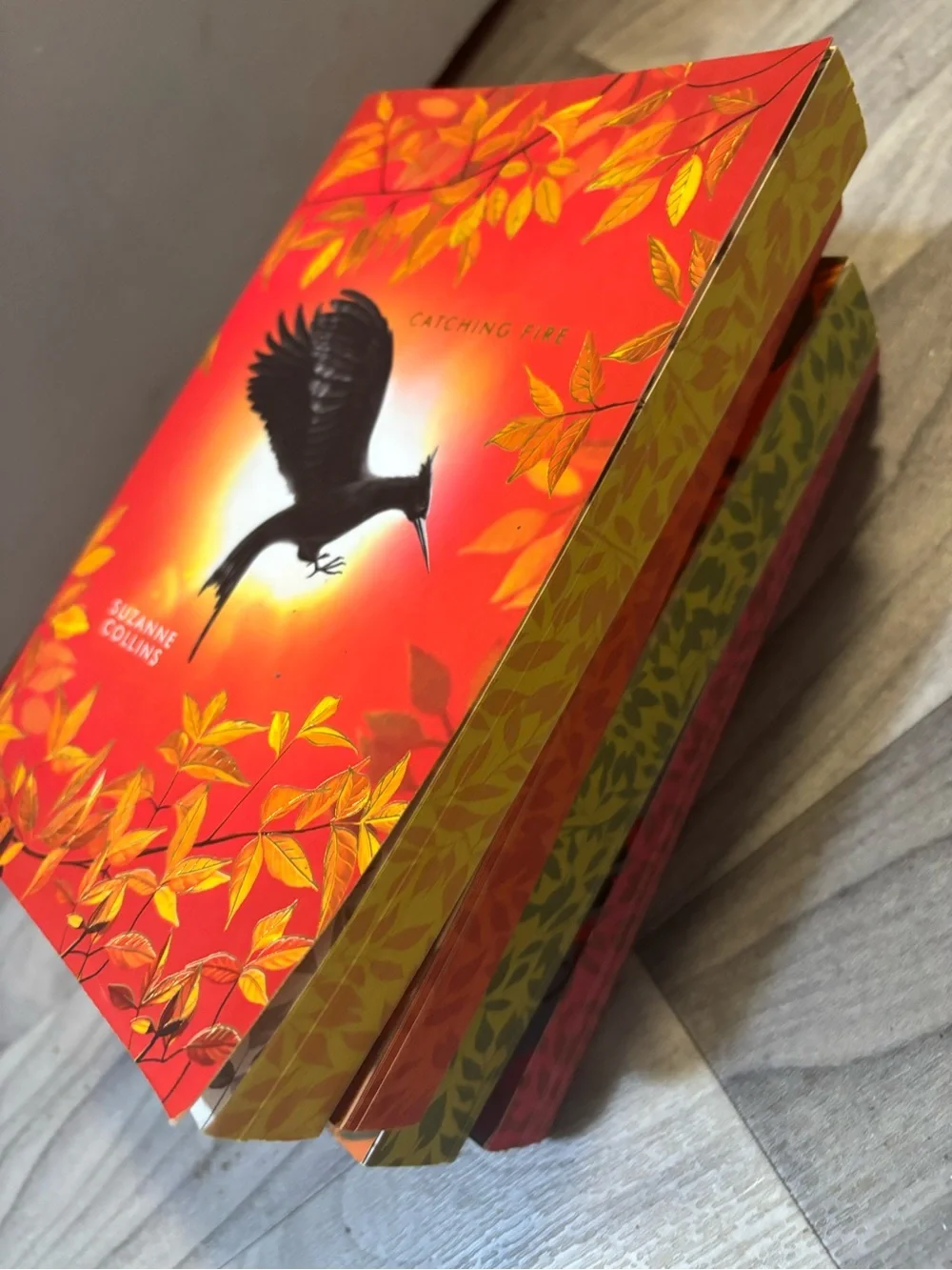 Scholastic multi color